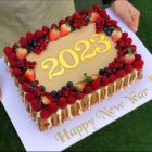 N17 | lotus berries cake