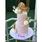 293| Birthday cake