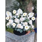 50| stand with flowers