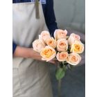 Wholesale peach roses (10 pcs)
