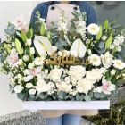 E22| Flowers