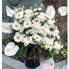 E24| Flowers