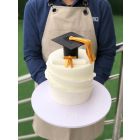 306| Graduation Cake