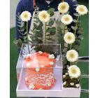 M4|Mother's Day Cake and Flowers