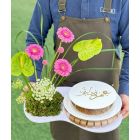 C13| Flowers with sweets 