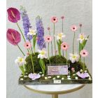 141| Flowers stand 