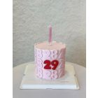 249| Birthday Cake