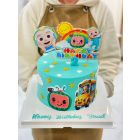 355| Kids Birthday Cake