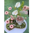 C8| Chocolate with flowers