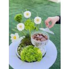C7| Chocolate with flowers