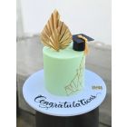 803| Graduation cake 
