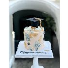813| Graduation cake 