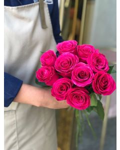 Wholesale fushia roses (10 pcs)