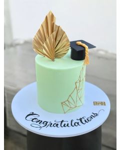803| Graduation cake 
